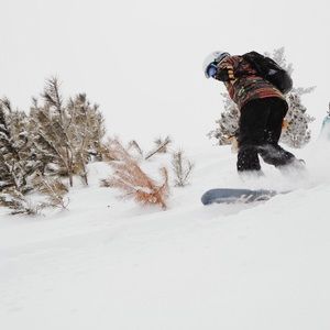 Meet your Posher, Jordan